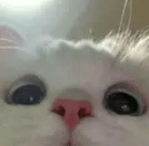 友人A